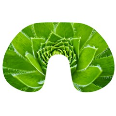 Wurz Houseleek Turmeric Plant Travel Neck Pillows