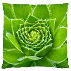 Wurz Houseleek Turmeric Plant Standard Flano Cushion Case (one Side) by Pakrebo