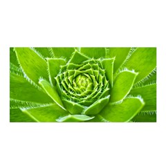 Wurz Houseleek Turmeric Plant Satin Wrap by Pakrebo