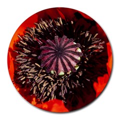 Ornamental Poppies Half Rosette Plant Round Mousepads by Pakrebo