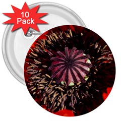 Ornamental Poppies Half Rosette Plant 3  Buttons (10 Pack)  by Pakrebo