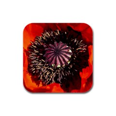 Ornamental Poppies Half Rosette Plant Rubber Square Coaster (4 Pack)  by Pakrebo