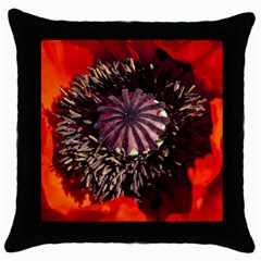 Ornamental Poppies Half Rosette Plant Throw Pillow Case (black) by Pakrebo