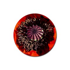 Ornamental Poppies Half Rosette Plant Rubber Coaster (round)  by Pakrebo