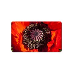 Ornamental Poppies Half Rosette Plant Magnet (name Card) by Pakrebo