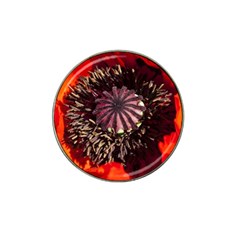 Ornamental Poppies Half Rosette Plant Hat Clip Ball Marker by Pakrebo