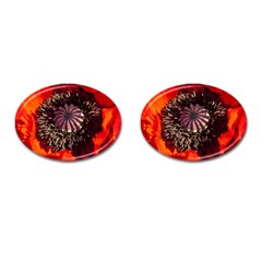 Ornamental Poppies Half Rosette Plant Cufflinks (oval) by Pakrebo