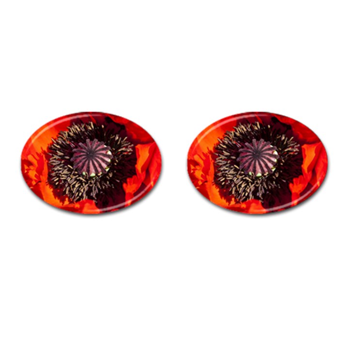 Ornamental Poppies Half Rosette Plant Cufflinks (Oval)