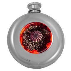 Ornamental Poppies Half Rosette Plant Round Hip Flask (5 Oz) by Pakrebo