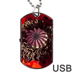 Ornamental Poppies Half Rosette Plant Dog Tag Usb Flash (two Sides) by Pakrebo