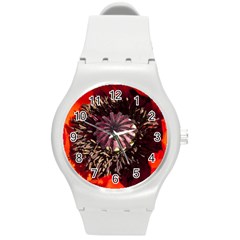 Ornamental Poppies Half Rosette Plant Round Plastic Sport Watch (m) by Pakrebo