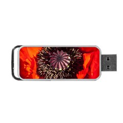 Ornamental Poppies Half Rosette Plant Portable Usb Flash (one Side) by Pakrebo