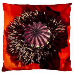 Ornamental Poppies Half Rosette Plant Standard Flano Cushion Case (two Sides) by Pakrebo