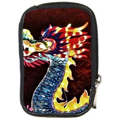 Dragon Lights Main Dragon Compact Camera Leather Case by Riverwoman