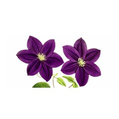 Purple Star Clematis - Vintage Design Satin Wrap by WensdaiAmbrose