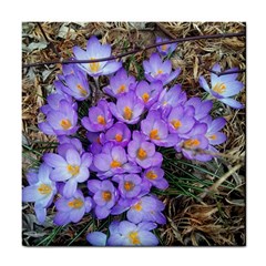 Signs Of Spring Purple Crocua Tile Coasters by Riverwoman