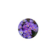 Signs Of Spring Purple Crocua 1  Mini Buttons by Riverwoman