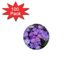 Signs Of Spring Purple Crocua 1  Mini Buttons (100 Pack)  by Riverwoman