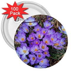 Signs Of Spring Purple Crocua 3  Buttons (100 Pack)  by Riverwoman