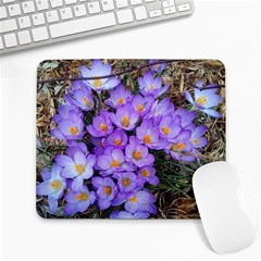 Signs Of Spring Purple Crocua Large Mousepads by Riverwoman