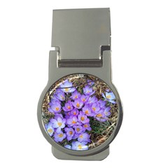 Signs Of Spring Purple Crocua Money Clips (round)  by Riverwoman