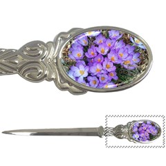 Signs Of Spring Purple Crocua Letter Opener by Riverwoman