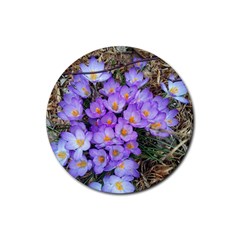 Signs Of Spring Purple Crocua Rubber Round Coaster (4 Pack)  by Riverwoman