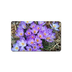 Signs Of Spring Purple Crocua Magnet (name Card) by Riverwoman