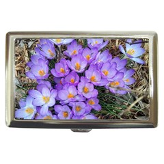 Signs Of Spring Purple Crocua Cigarette Money Case by Riverwoman