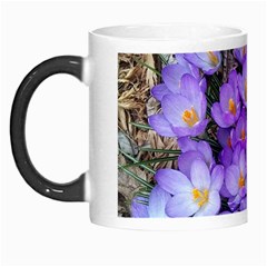 Signs Of Spring Purple Crocua Morph Mugs by Riverwoman