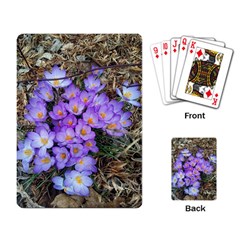 Signs Of Spring Purple Crocua Playing Cards Single Design by Riverwoman