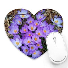 Signs Of Spring Purple Crocua Heart Mousepads by Riverwoman