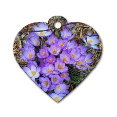 Signs Of Spring Purple Crocua Dog Tag Heart (one Side) by Riverwoman