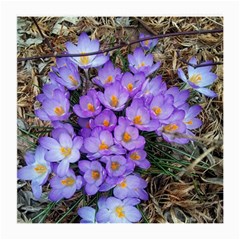 Signs Of Spring Purple Crocua Medium Glasses Cloth (2-side) by Riverwoman