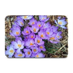 Signs Of Spring Purple Crocua Plate Mats by Riverwoman