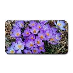 Signs Of Spring Purple Crocua Medium Bar Mats by Riverwoman