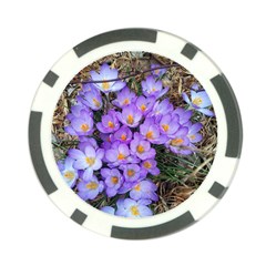 Signs Of Spring Purple Crocua Poker Chip Card Guard by Riverwoman