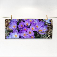 Signs Of Spring Purple Crocua Hand Towel by Riverwoman