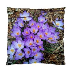 Signs Of Spring Purple Crocua Standard Cushion Case (two Sides) by Riverwoman