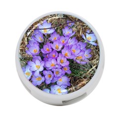 Signs Of Spring Purple Crocua 4-port Usb Hub (two Sides) by Riverwoman