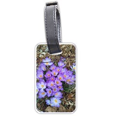 Signs Of Spring Purple Crocua Luggage Tags (one Side)  by Riverwoman