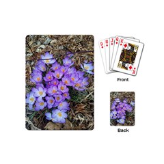 Signs Of Spring Purple Crocua Playing Cards (mini) by Riverwoman