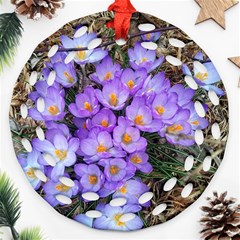 Signs Of Spring Purple Crocua Ornament (round Filigree) by Riverwoman