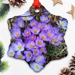 Signs Of Spring Purple Crocua Snowflake Ornament (two Sides) by Riverwoman