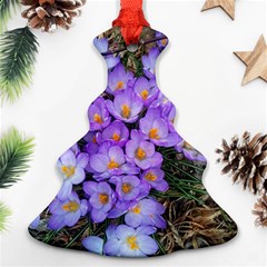 Signs Of Spring Purple Crocua Christmas Tree Ornament (two Sides) by Riverwoman