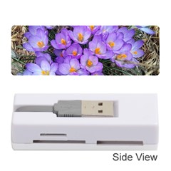 Signs Of Spring Purple Crocua Memory Card Reader (stick) by Riverwoman