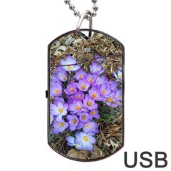 Signs Of Spring Purple Crocua Dog Tag Usb Flash (two Sides) by Riverwoman