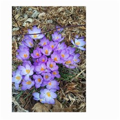 Signs Of Spring Purple Crocua Large Garden Flag (two Sides) by Riverwoman