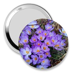 Signs Of Spring Purple Crocua 3  Handbag Mirrors by Riverwoman