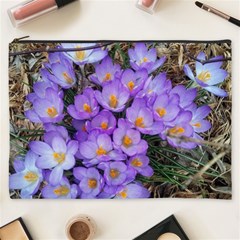 Signs Of Spring Purple Crocua Cosmetic Bag (xxxl) by Riverwoman